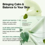 ANUA Heartleaf 70 Soothing Collagen Mask 4ea - Image 3