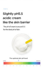 ANUA Birch Moisture Boosting Cream 50ml - Image 13