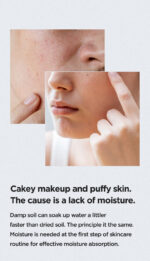 ANUA Birch Moisture Boosting Cream 50ml - Image 4