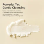 Beauty Of Joseon Radiance Cleansing Balm 100ml - Image 3