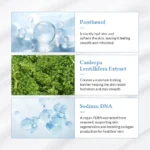 Dr. Althea Aqua Glowing Sunscreen 45ml - Image 5