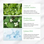 Dr. Althea Green Tea Fresh Sunscreen 45ml - Image 6