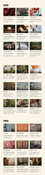 Hetras Vidangyeol Treatment Daisy 1013ml - Image 2